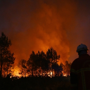 Behind the silhouette of trees, yellow fires light up the sky with red clouds. A firefighter is standing to the right.