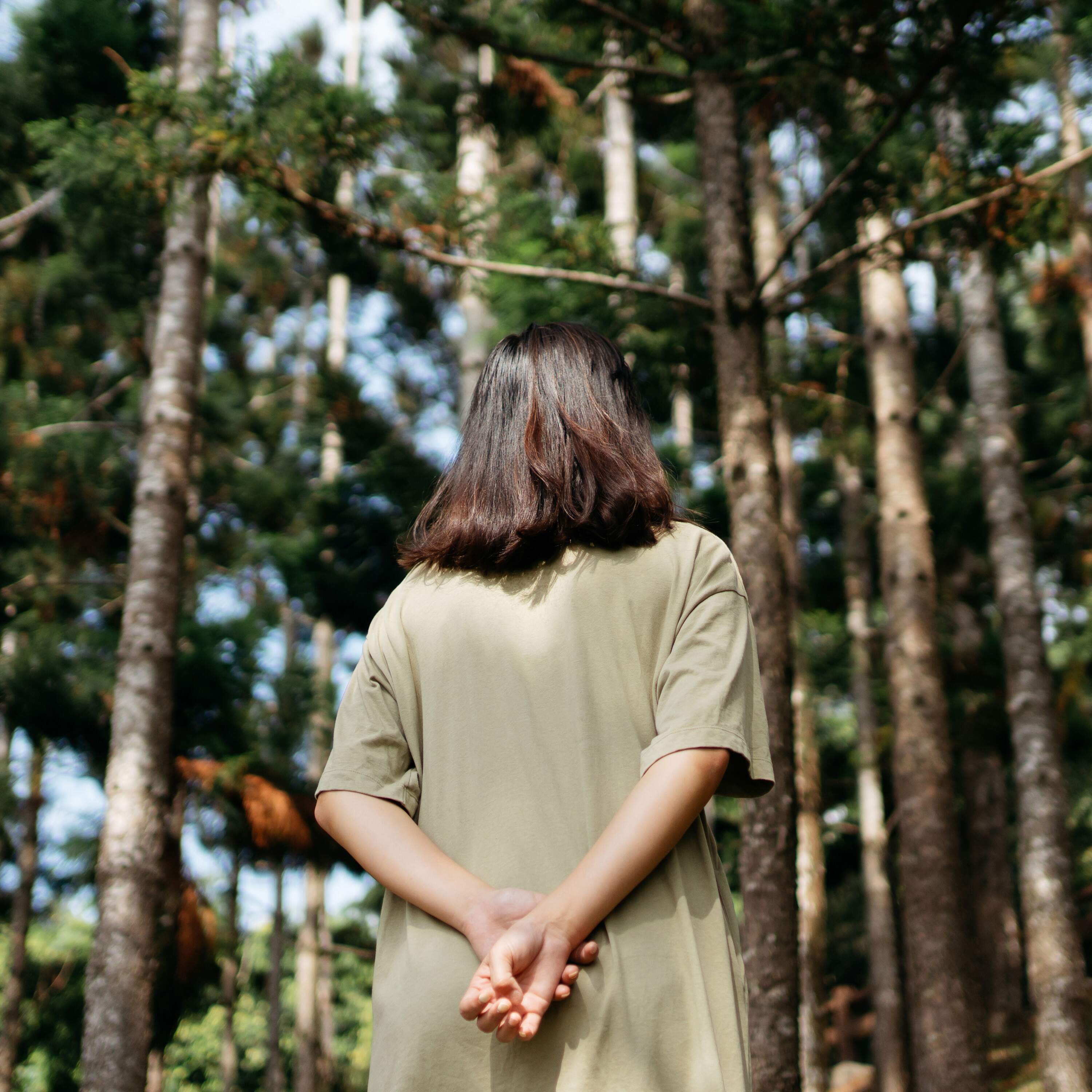 Why spending time in the woods makes you feel calm Episode cover