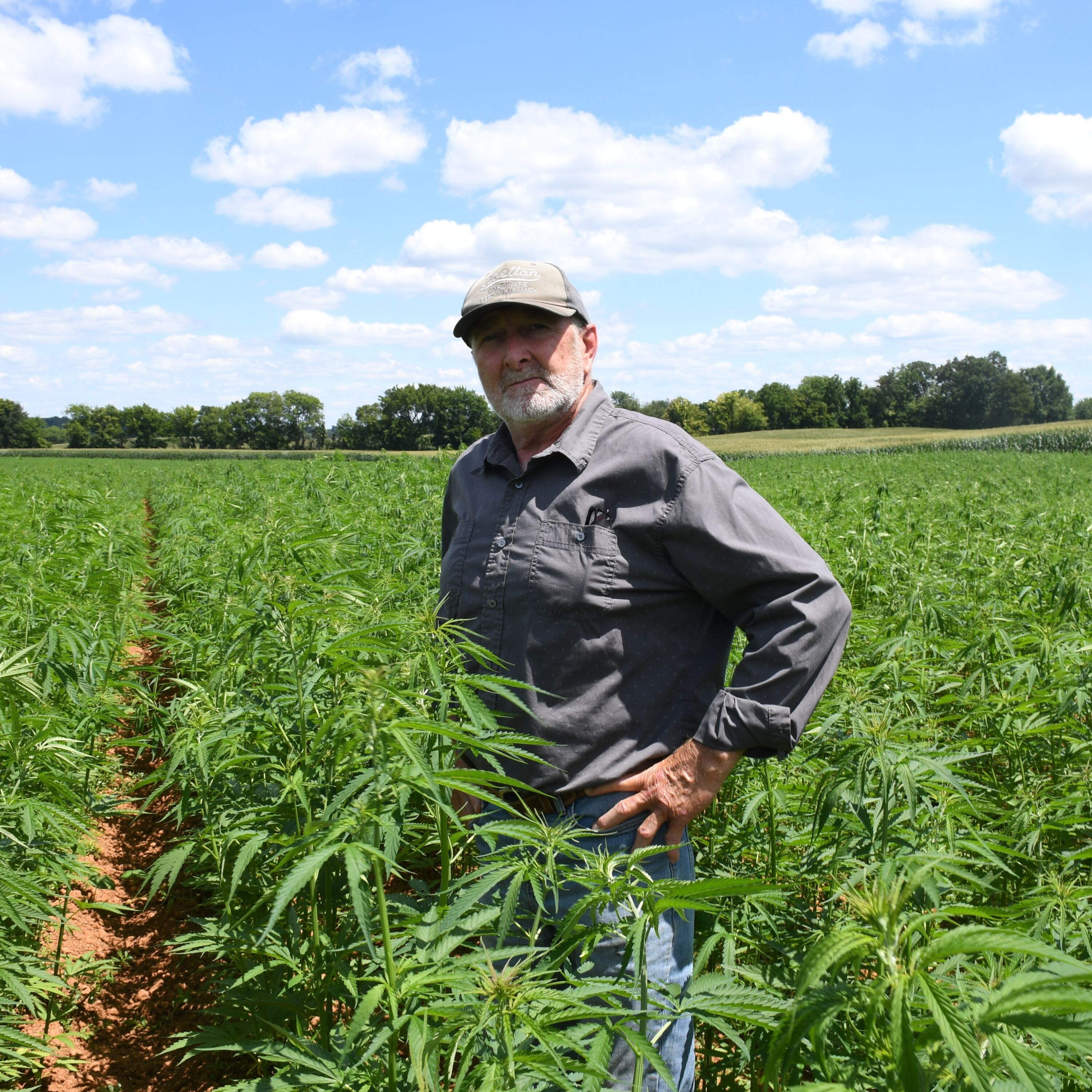 How Hemp-THC businesses are bracing for a near total ban Episode cover
