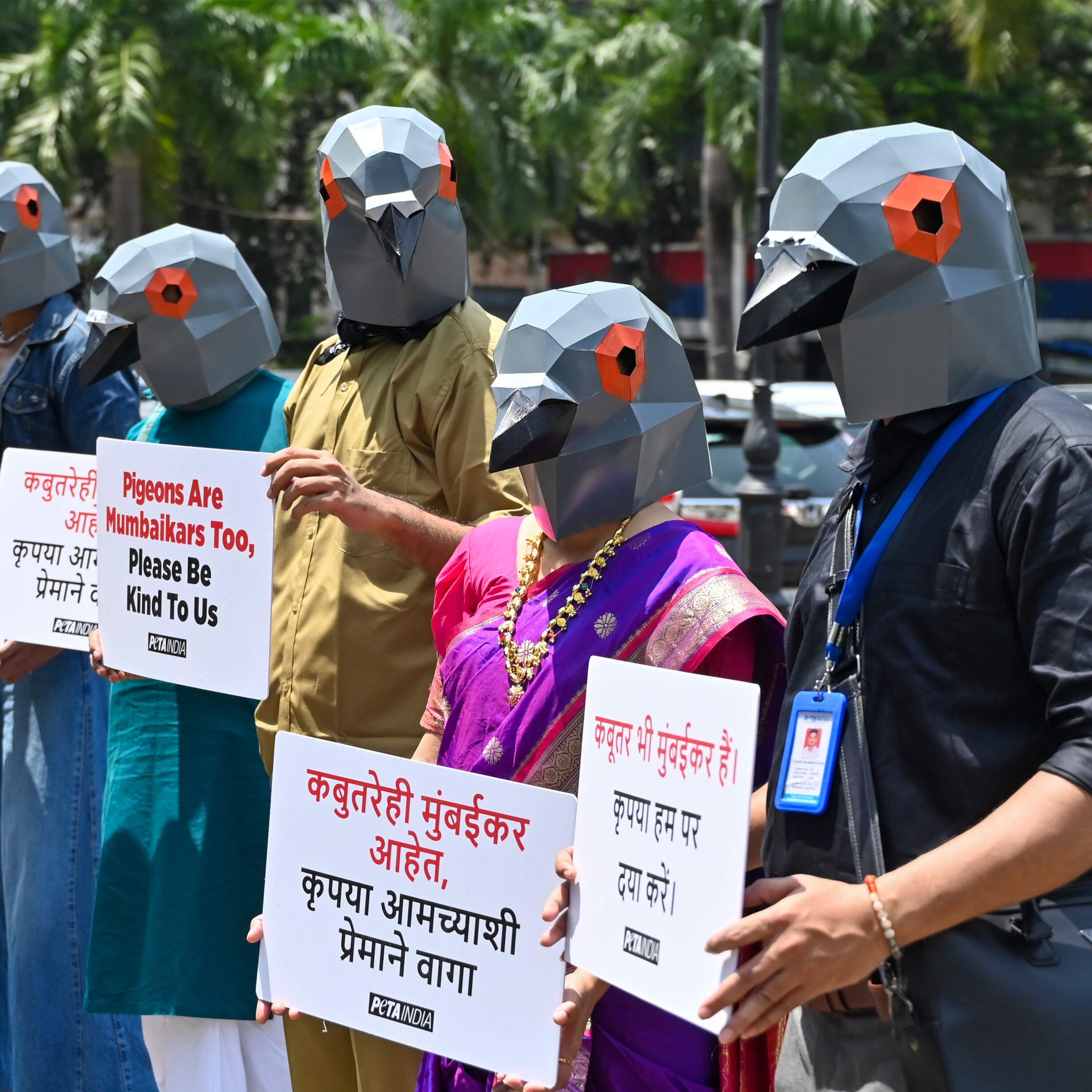 The Culture War Over Pigeon Feeding in Mumbai