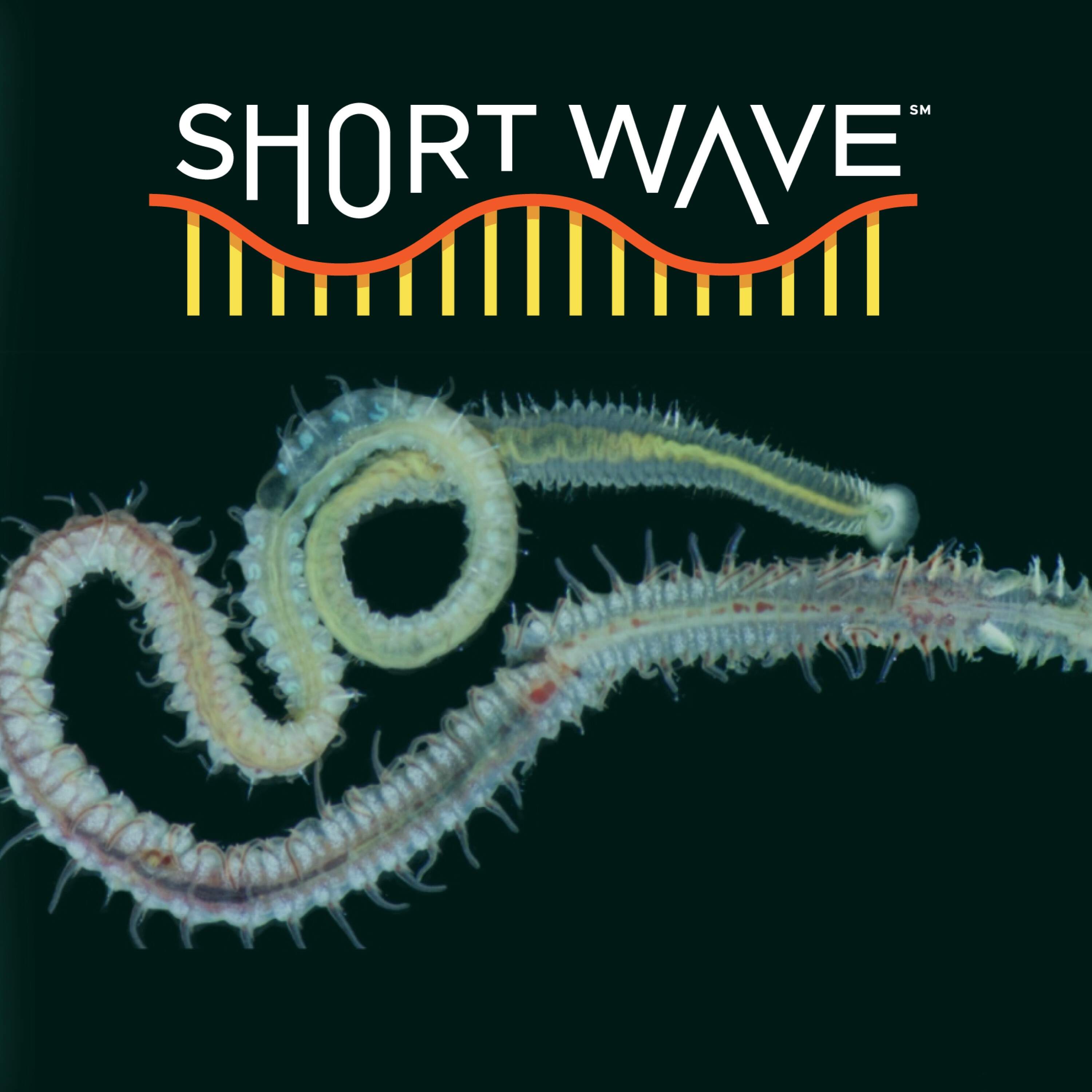 Parasites Have Haunted Us For Millions Of Years