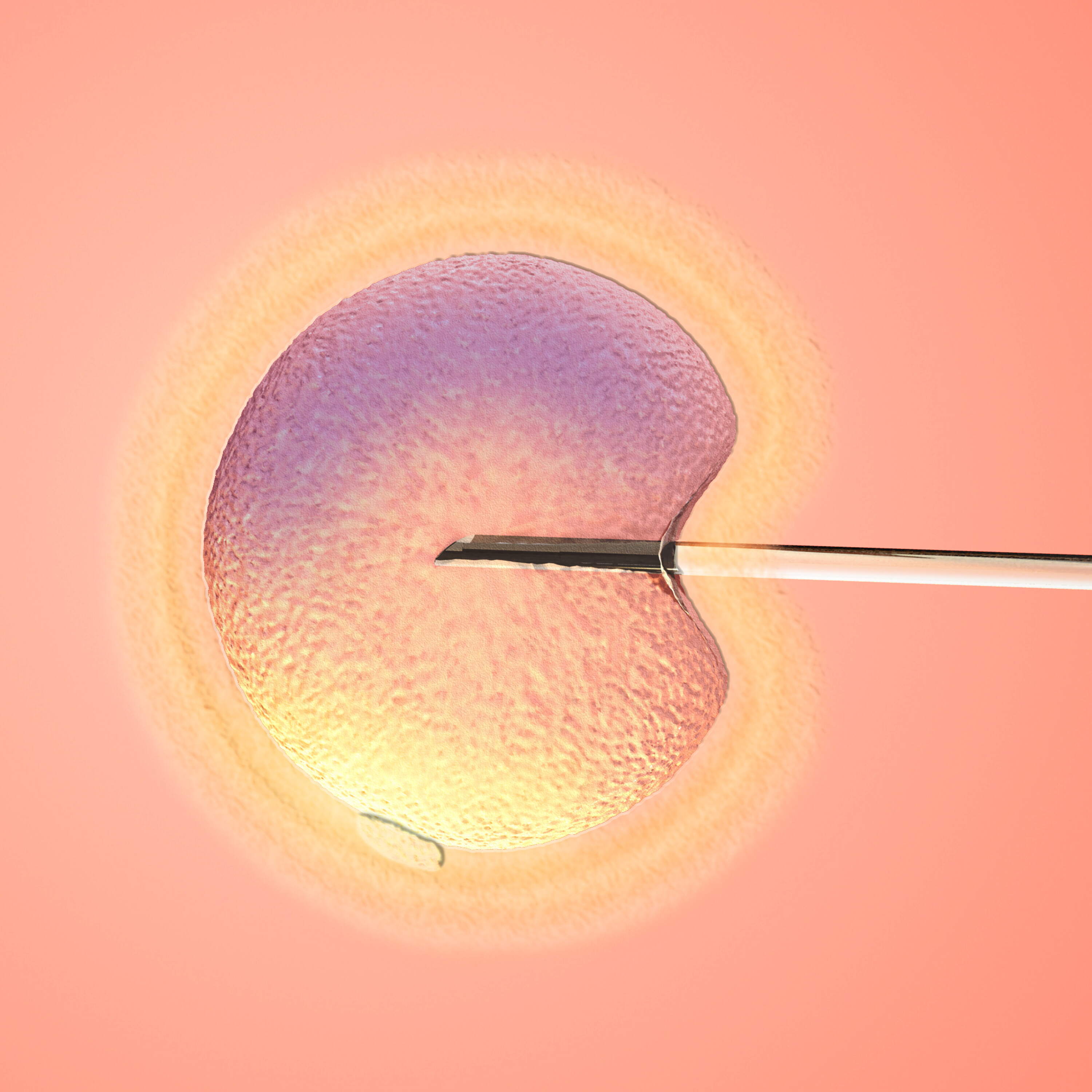 Is IVF actually right for you? Episode cover