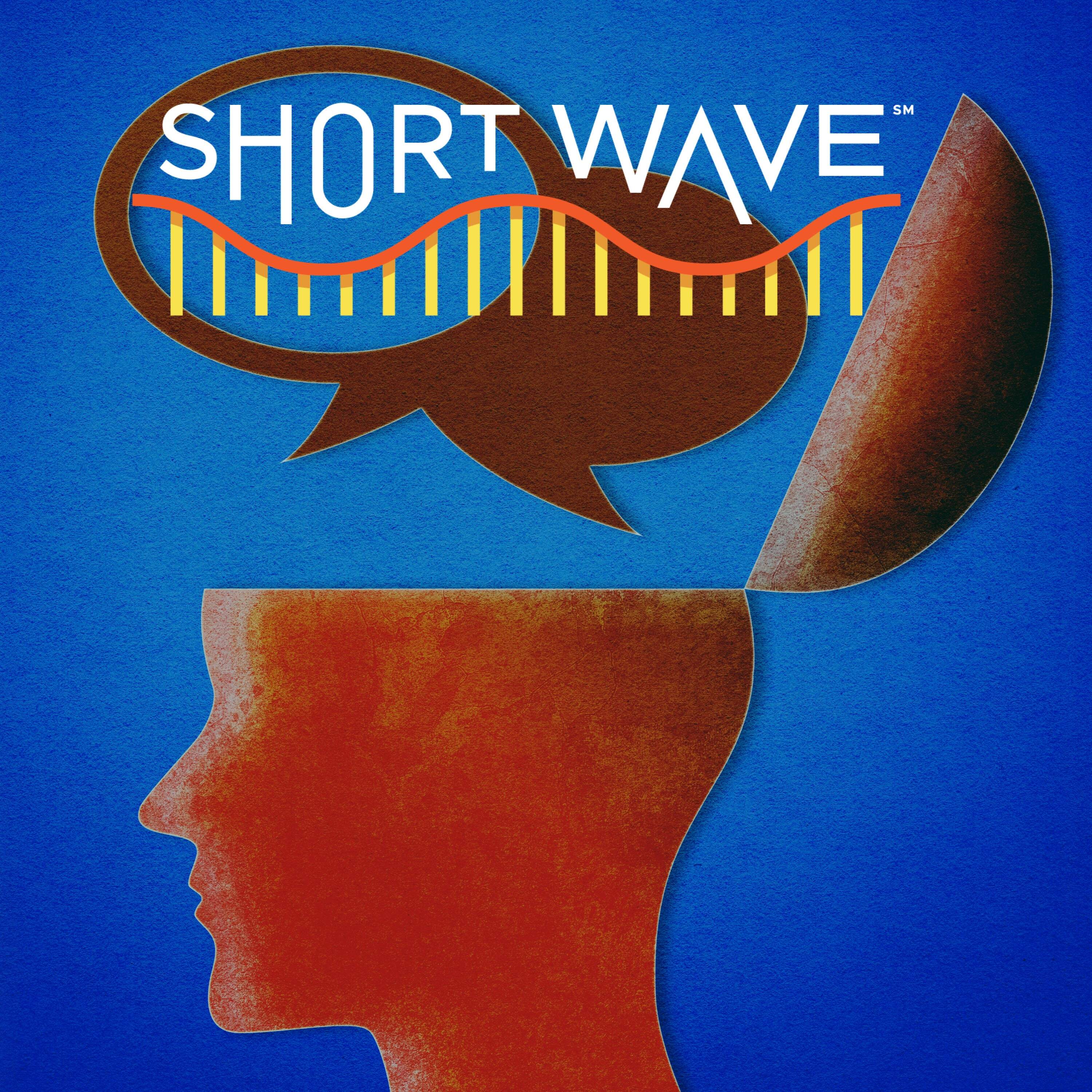 The Mystery Of Inner Monologues