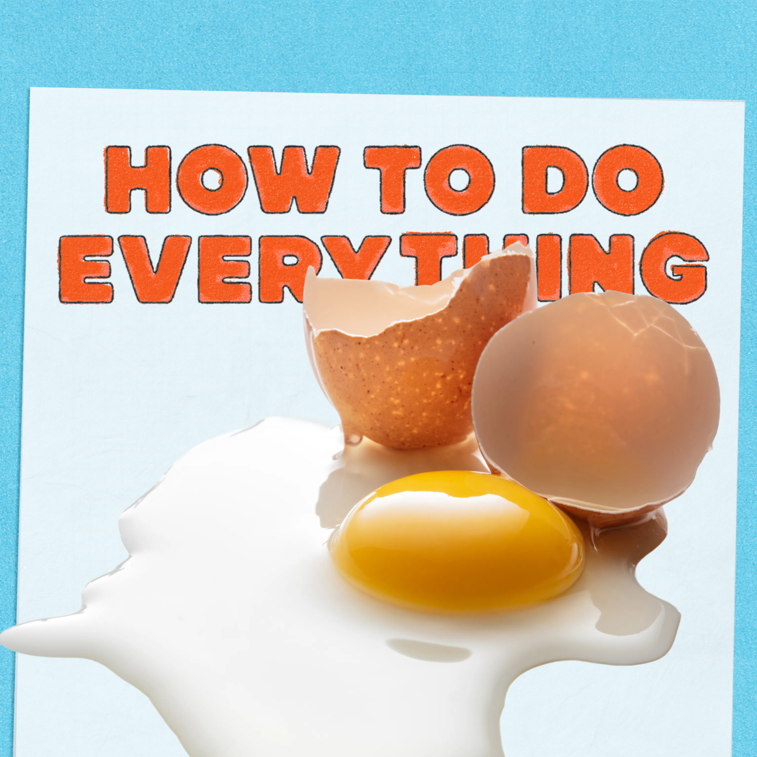 Eggs and Bald Eagles Eggs and Bald Eagles