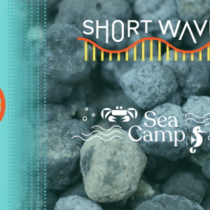 Blue-gray lumps that structurally resemble coal under a white logo that reads "Sea Camp" and has a white cartoon image of waves, bubbles, a crab and a seahorse. The top logo in white reads "Short Wave"
