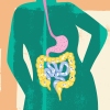 An illustration of the silhouette of a woman with colorful intestines and digestive tract representing gut health and the human microbiome.