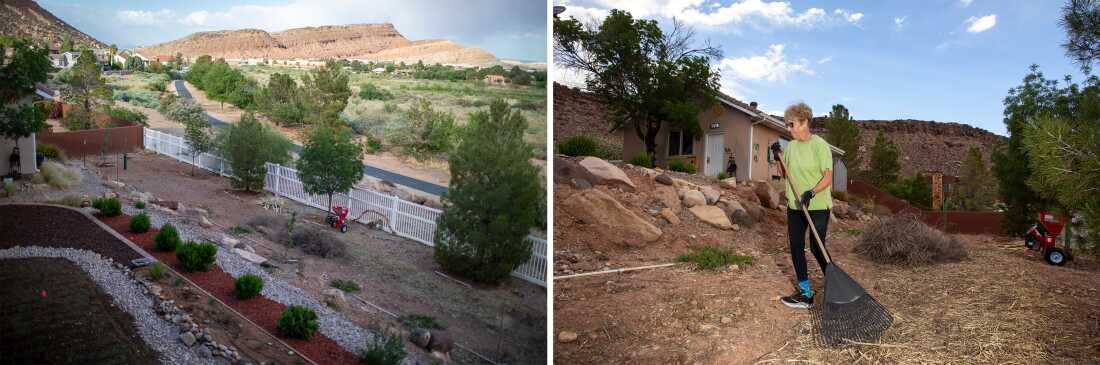 St. George homeowner Karen Goodfellow works on her backyard project to replace grass with water-efficient plants. The county hopes its program that pays residents to remove irrigated lawns will encourage more people to do the same.