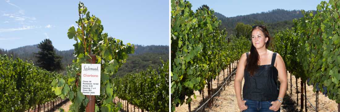 The photo on the right shows winemaker Avery Heelan of Larkmead Vineyards in Napa Valley. She's wearing blue jeans and a black sleeveless top, and she's standing between two rows of grapevines. The photo on the left shows three rows of grapevines at Larkmead. A sign on a stake at the end of the middle row labels the row as charbono grapes.