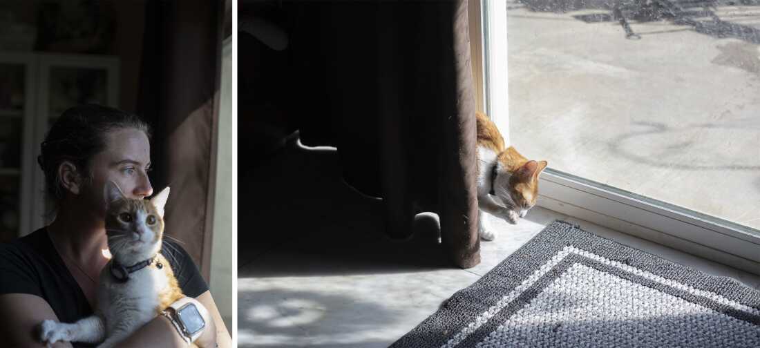 (Left) Lexie Dreyfuss holds her orange-and-white cat. (Right) Piper the orange-and-white cat peeks out from behind a curtain.