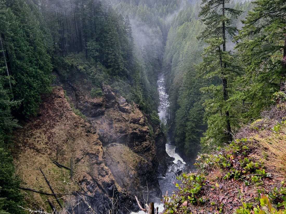Wallace Falls State Park features a forest, lakes and waterfalls.