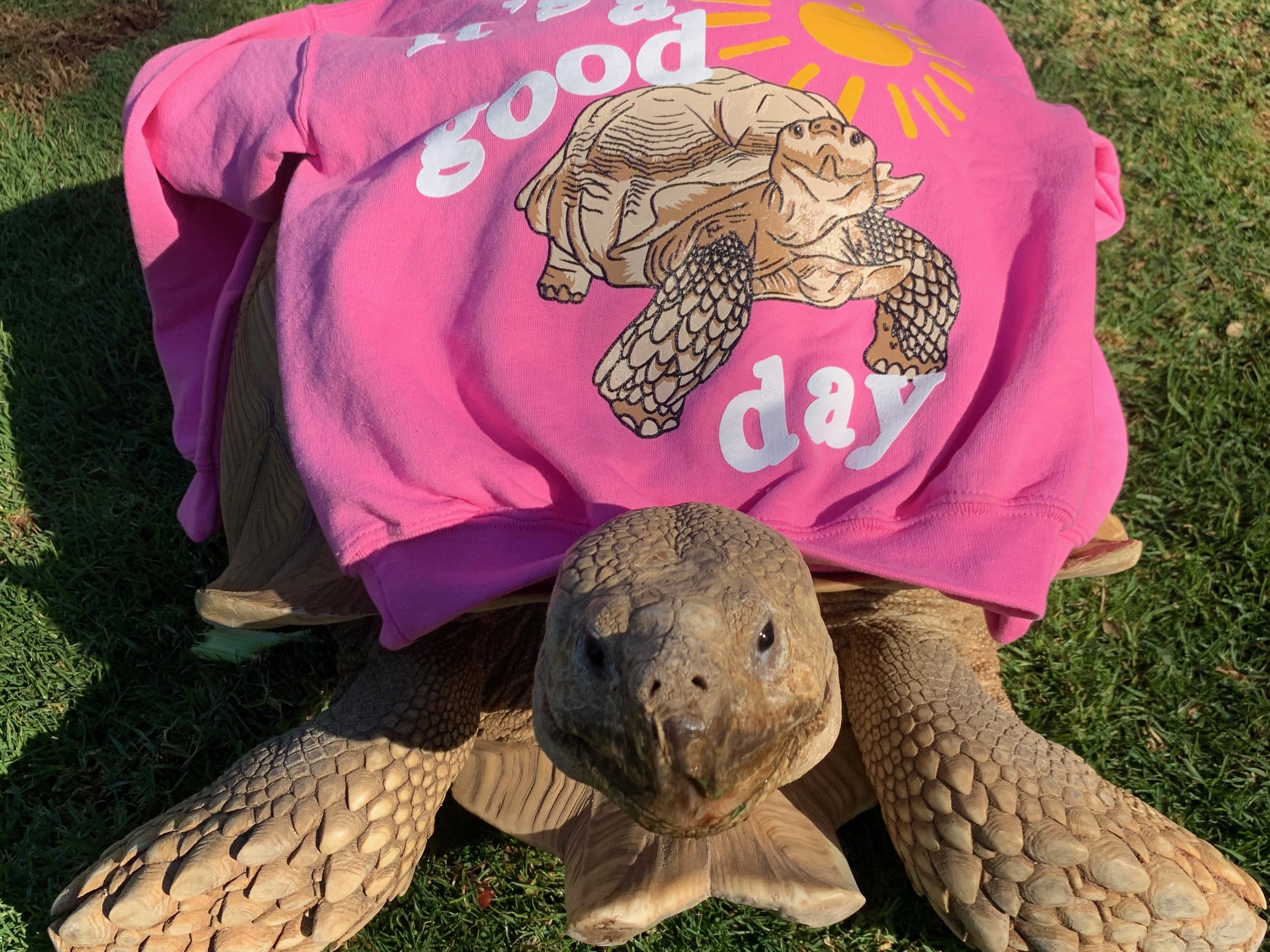 Darwin Riding Tortoise T-Shirt Galapagos Turtle Science