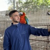 ファティ・ジュマさんの息子、アフマド・ジュマさんがラファにある動物園のオウムを抱いている。