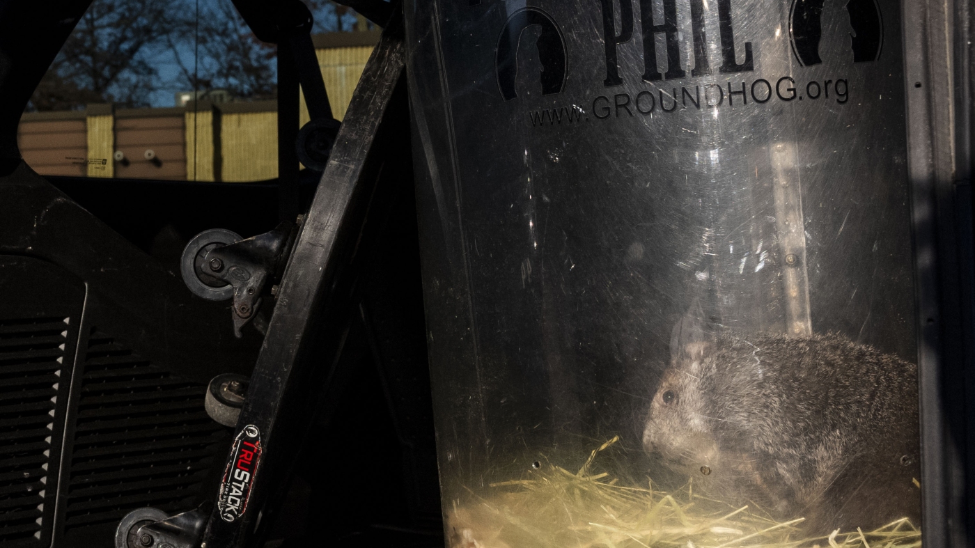 What it's like to party in the native habitat of Groundhog Day star ...