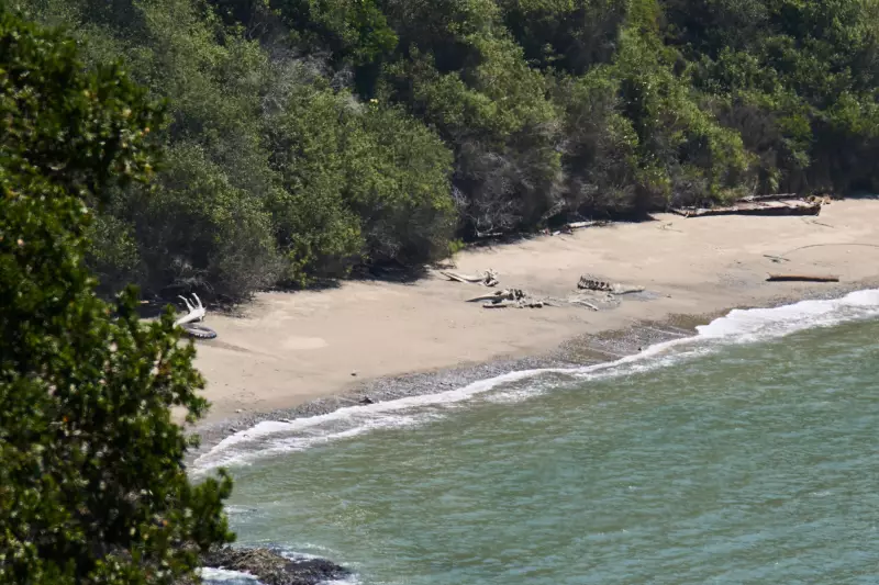 Whale carcasses lie on a beach on Angel Island in San Francisco Bay, Tuesday, May 19, 2026.