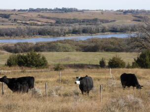 This 2010 photo shows the Sandhills in north central Nebraska. Independent candidate Dan Osborn, who's running for U.S. Senate, recently held a series of meet and greets and town halls in the Sandhills, trying to form a broad coalition of Republicans and Democrats alike.