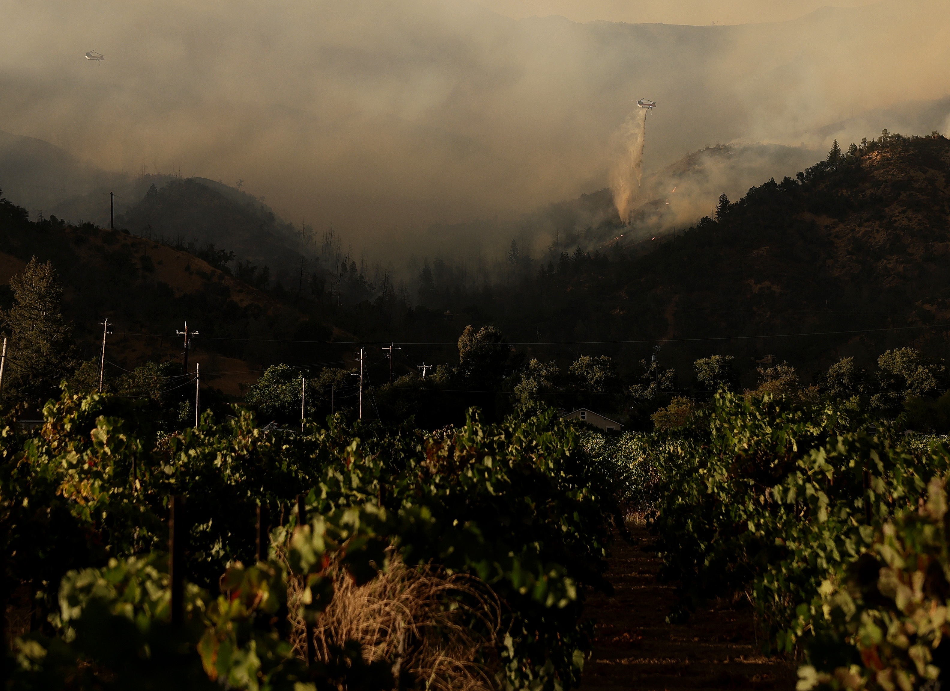 A firefighting helicopter drops water onto the Pickett Fire as it burns in the hills near a vineyard on Aug. 21, 2025 in Calistoga, California.