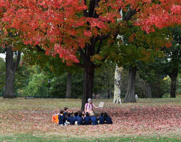 A group of children gather to hear a story under a tree in Central Park on Oct. 23, 2017.