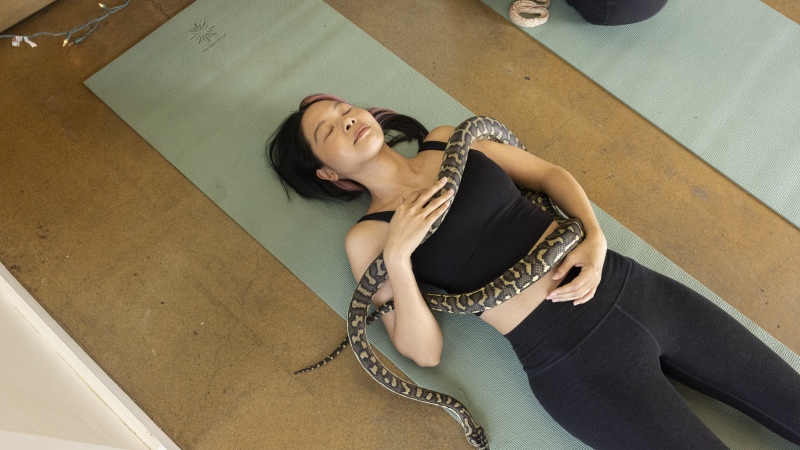 Christina Chang is encircled by Gemma, a carpet python, during Snake Yoga at HISSS in Portland, Ore. on Feb. 28.