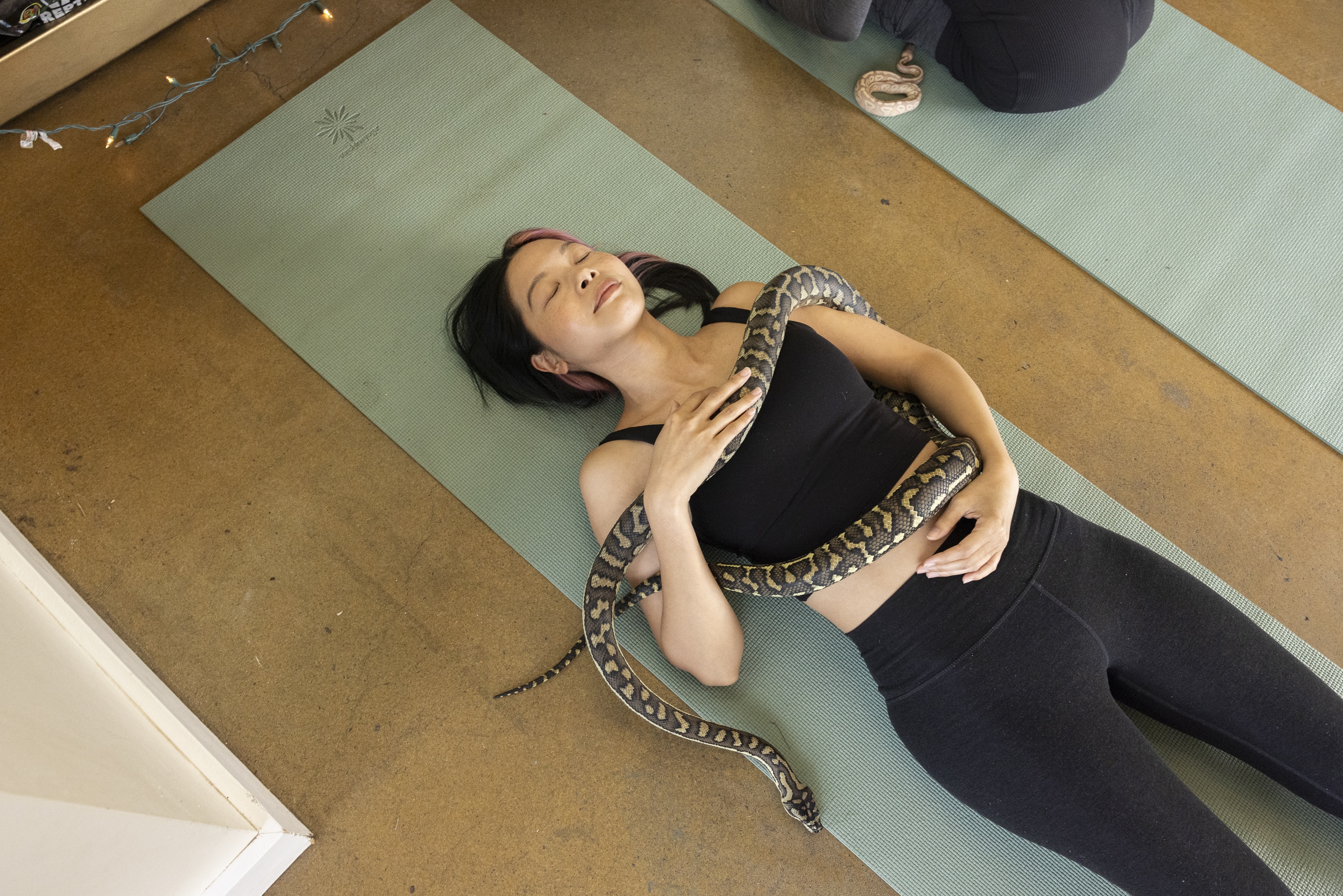 Over puppy yoga? Try it with snakes.