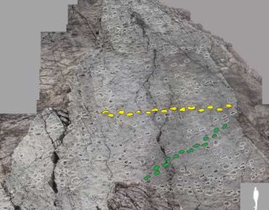 Italy makes a shocking discovery forward of the Winter Olympics: dinosaur tracks