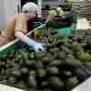 Trump's threat to impose tariffs on Mexico and Canada could end up hurting Americans too. Among the products impacted could be gasoline and guacamoles.