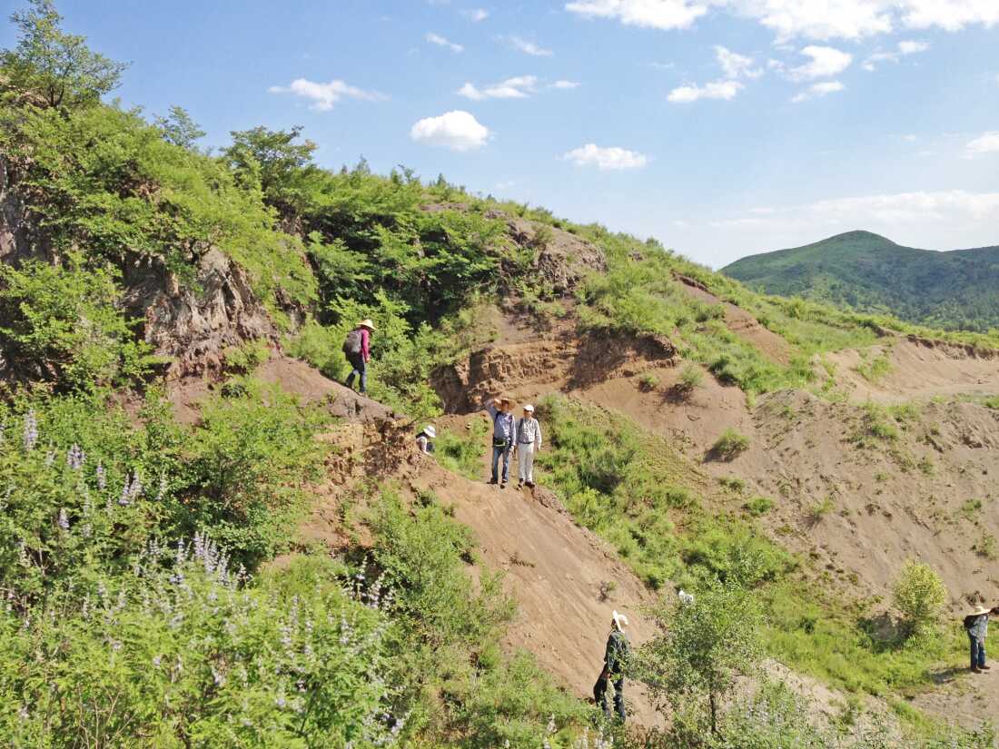Nanjing Institute of Geology and Paleontology team at Lujiatun site where many 3-D dinosaurs, especially Psittacosaurus and several mammals have been excavated,