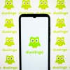The green Duolingo owl on a phone screen and background behind it.