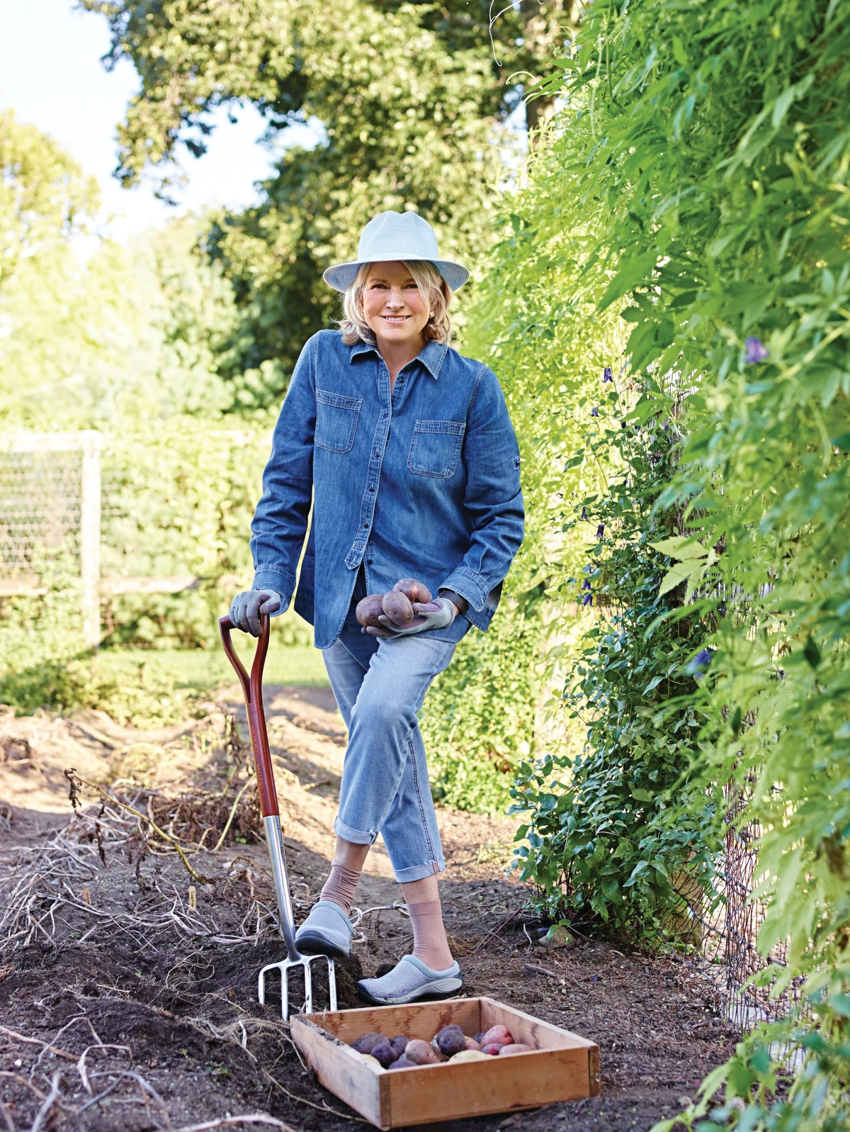 Martha Stewart harvesting potatoes in 2016 in Bedford, N.Y.