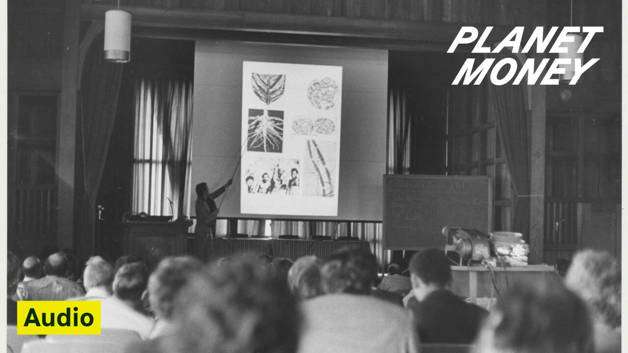 Wanna slow down AI? These biologists can help. podcast