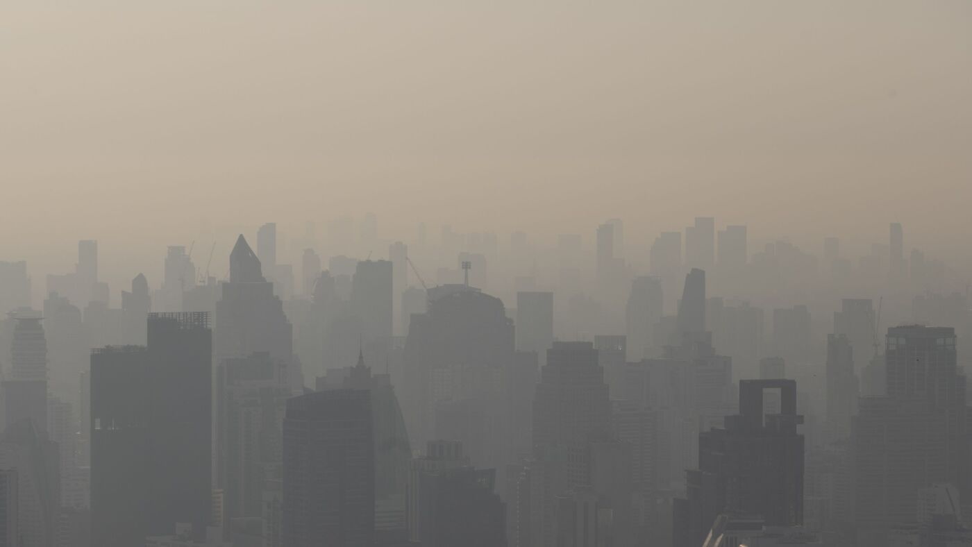 Could air pollution make your memory worse? : Short Wave