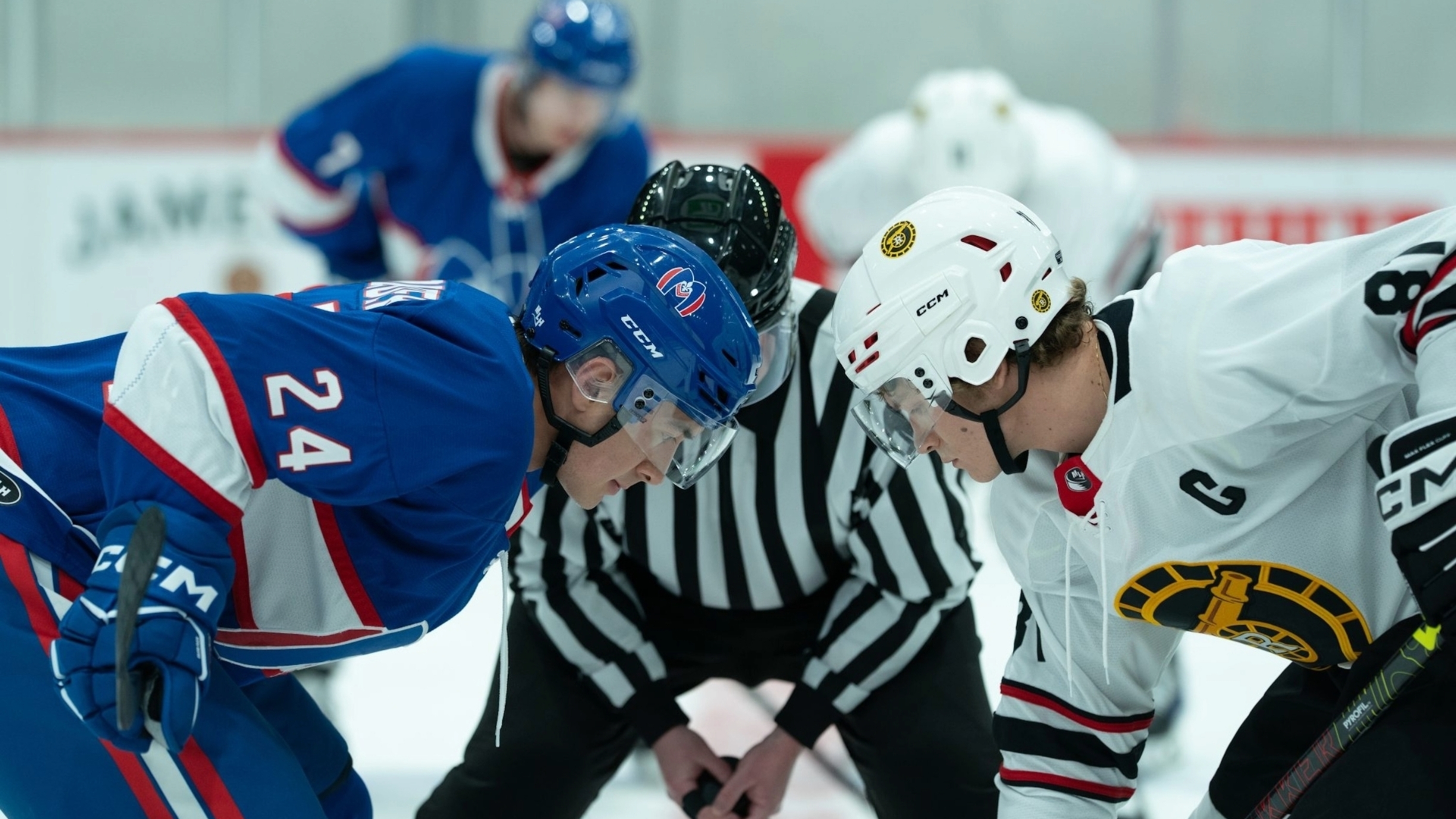 Heated Rivalry's Jacob Tierney on TV business in Canada versus Hollywood. : Planet Money : NPR