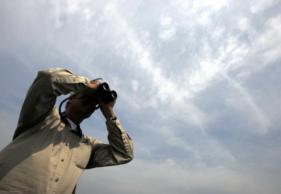 Pete Dunne uses binoculars during the World Series of Birding in an estuary in Cape May in 2007.