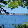 Trees frame the foreground against a large body of water and a bridge in the distance.