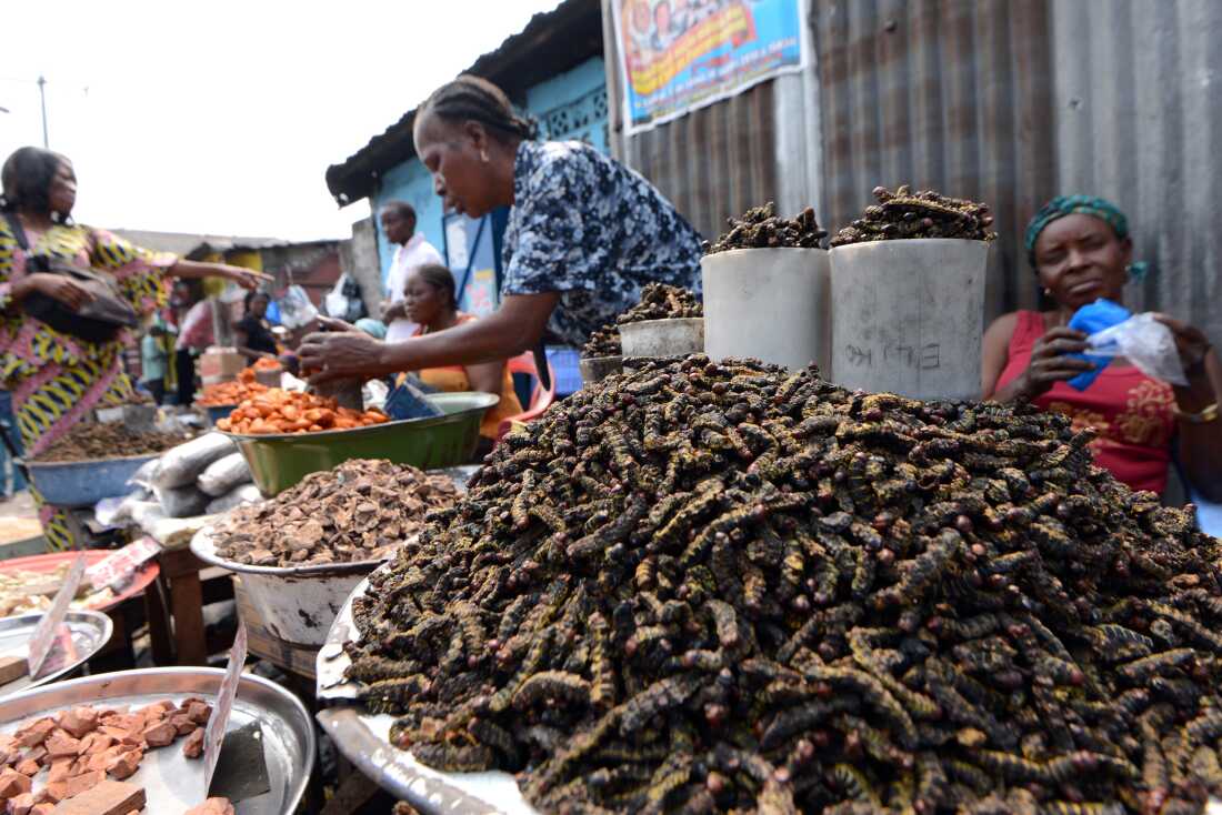 Crunchy caterpillars on sale in a market in Kinshasa.