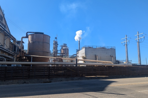 International Paper, a Fortune 500 company, operates a containerboard mill in Bogalusa, Louisiana, that was once one of the largest sawmills in the world.