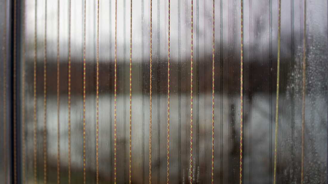 Ropes line the large picture windows at the Discovery Center so birds are less likely to fly into them, which can kill them on impact. It’s one of the leading causes of bird deaths in the United States.
