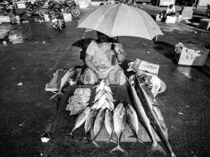 A fish vendor displays her catch at Kasimedu Fishing Harbour in Chennai, India, a hub for fishermen, wholesalers and local sellers.