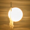 A SpaceX Falcon Heavy rocket with NASA’s Nancy Grace Roman Telescope on board is seen transiting the sun during its Aug. 30 launch from NASA’s Kennedy Space Center in Florida. The Roman telescope, named after the agency’s first chief astronomer, will help scientists study dark energy, exoplanets and the evolution of the universe.