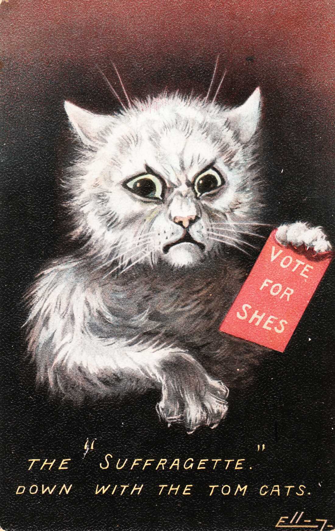 An anti-suffrage postcard from 1905, showing an angry white cat holding a card with the text