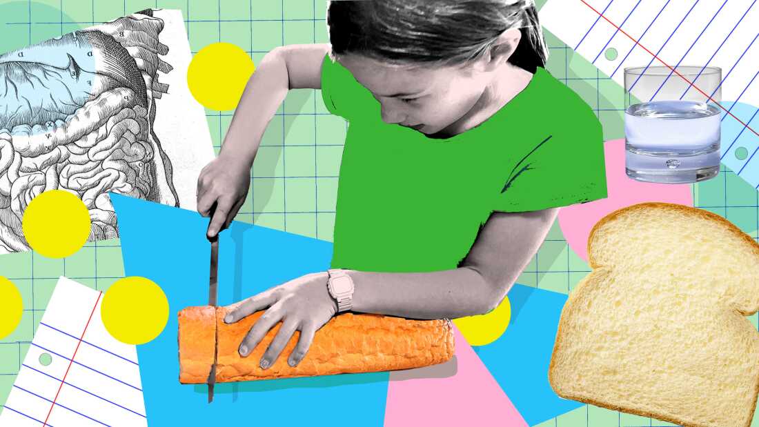 その炭水化物は超加工されていますか?子どもでもできるテストはこちら その炭水化物は超加工されていますか?子どもでもできるテストはこちら