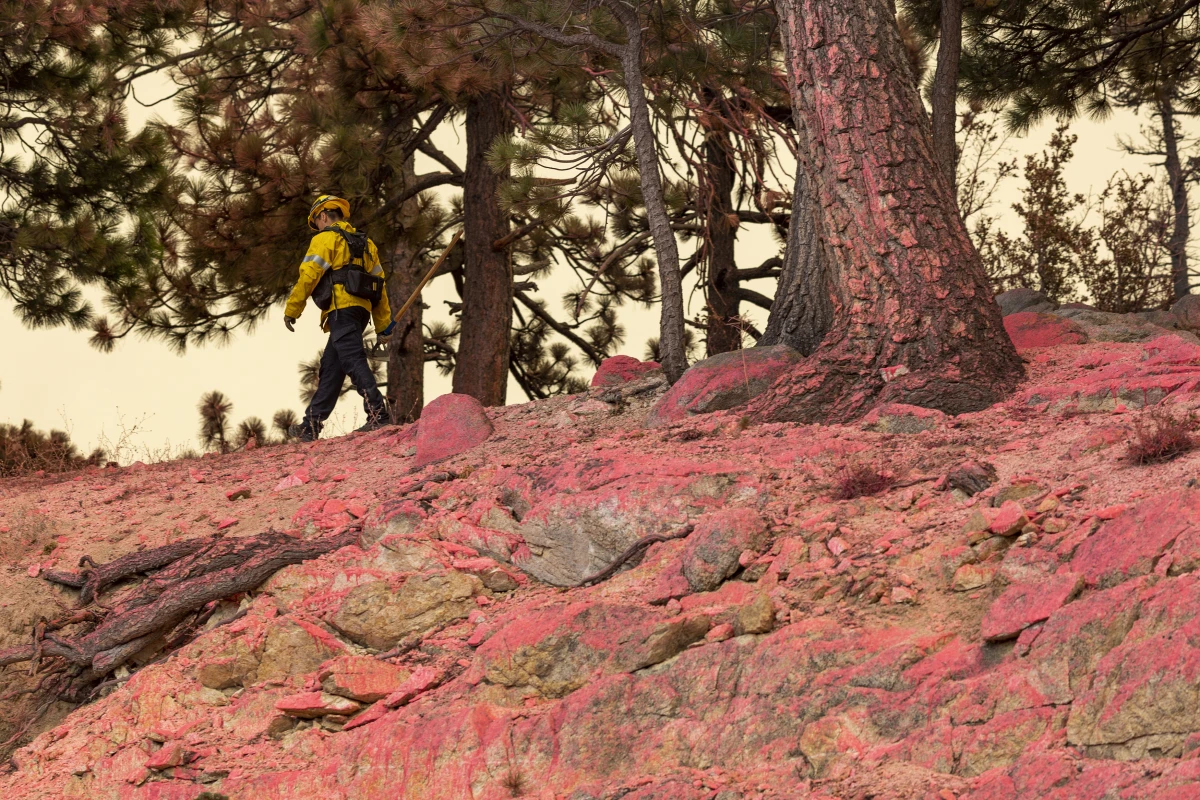 A firefighter walks a ridge covered with red fire retardant dropped by an air tanker during the Bobcat Fire at the Angeles National Forest in 2020 in Monrovia, Calif.