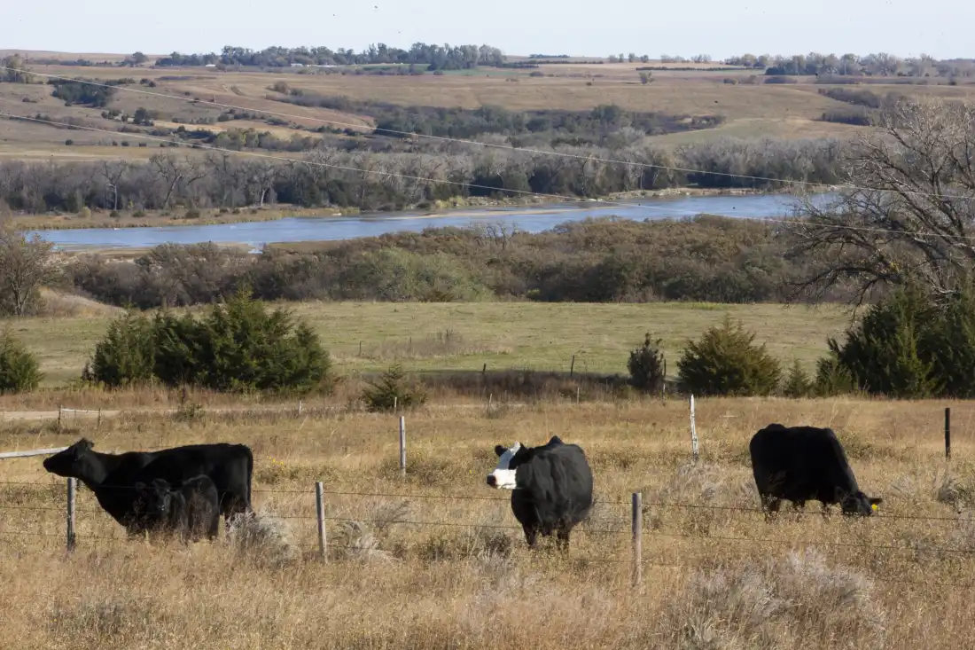 This 2010 photo shows the Sandhills in north central Nebraska.