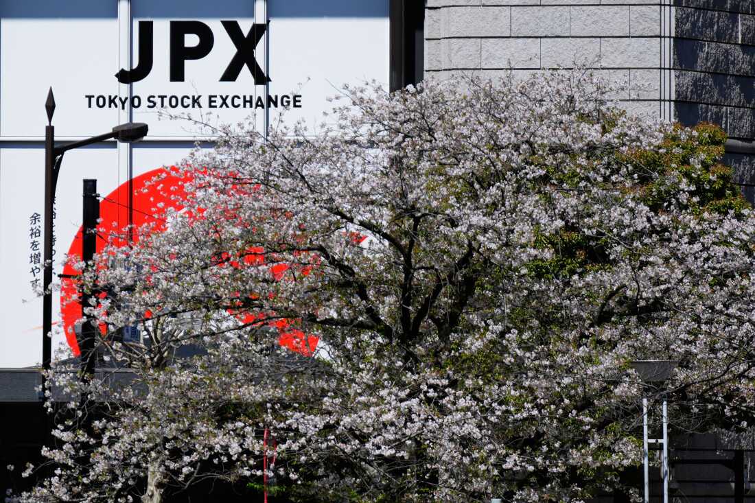 Cherry blossoms bloom across a street from the Tokyo Stock Exchange building in Tokyo, Wednesday, April 9, 2025.
