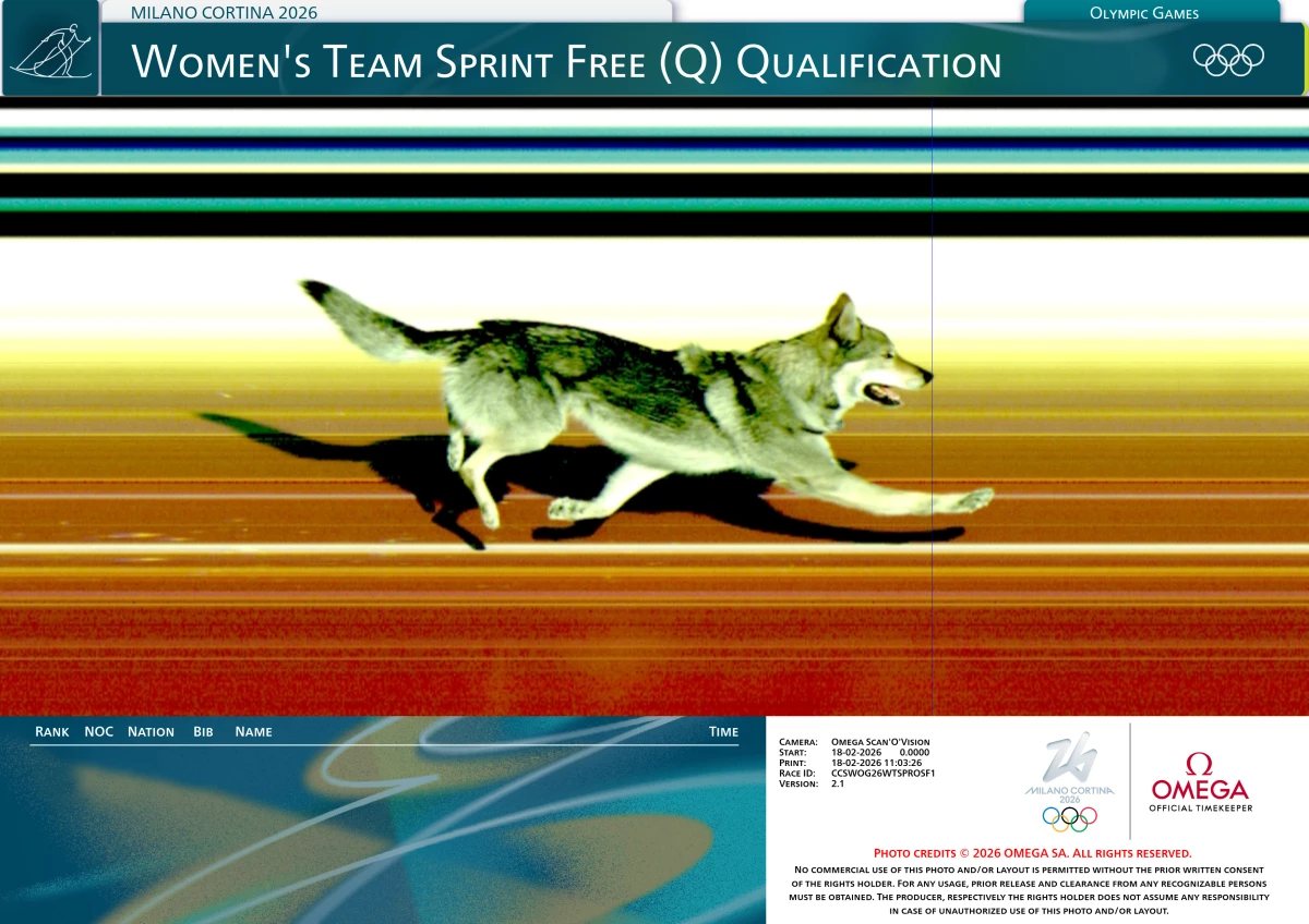 Nazgul, captured by the official finish line camera at the Tesoro Olympic cross-country competition venue