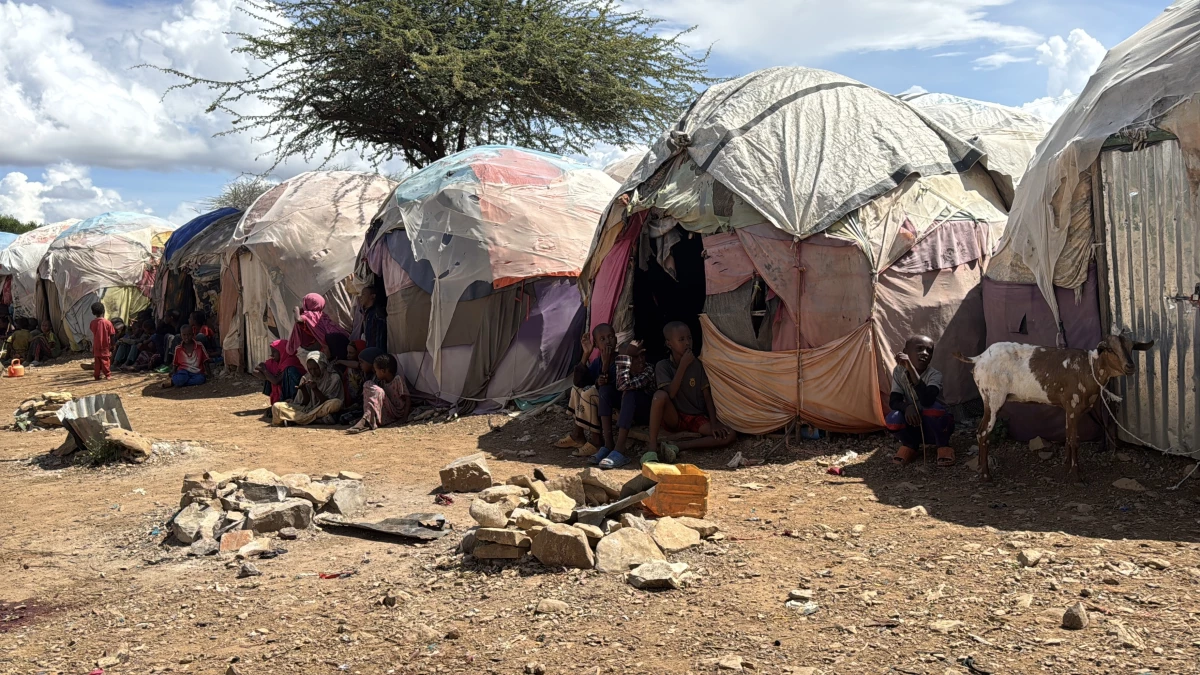 Research shows that an anti-poverty program can even work in a incredibly difficult circumstances, like in the Somali city of Baidoa, where half of the city's 1.2 million population are internally displaced people.