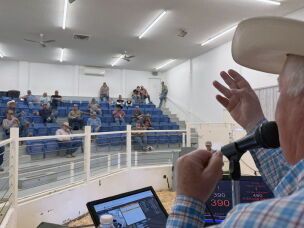 Auctioneer Phil Roe auctions off a group of cattle to buyers in Vale, Oregon.<br><br>