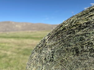 A round bale of hay sits waiting to be collected near New Princeton, Oregon.<br><br>