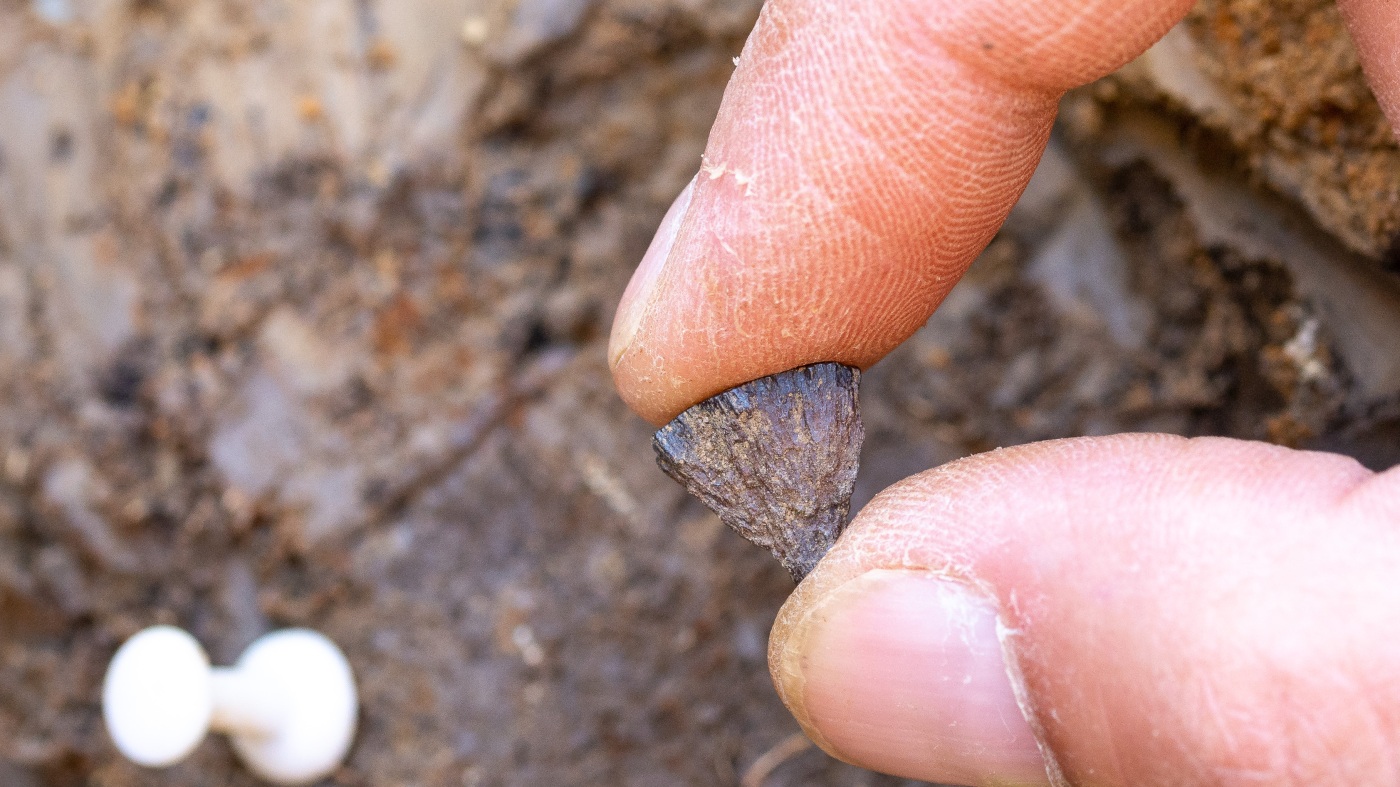 When did people begin making fires? A brand new research finds the earliest proof but : NPR When did people begin making fires? A brand new research finds the earliest proof but : NPR