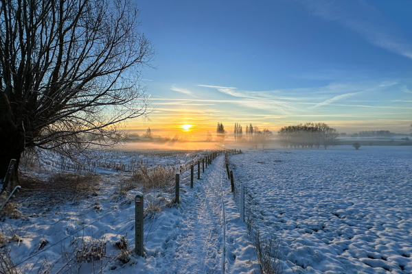 The sun rises over a snow-covered landscape in Denderhoutem, Belgium.