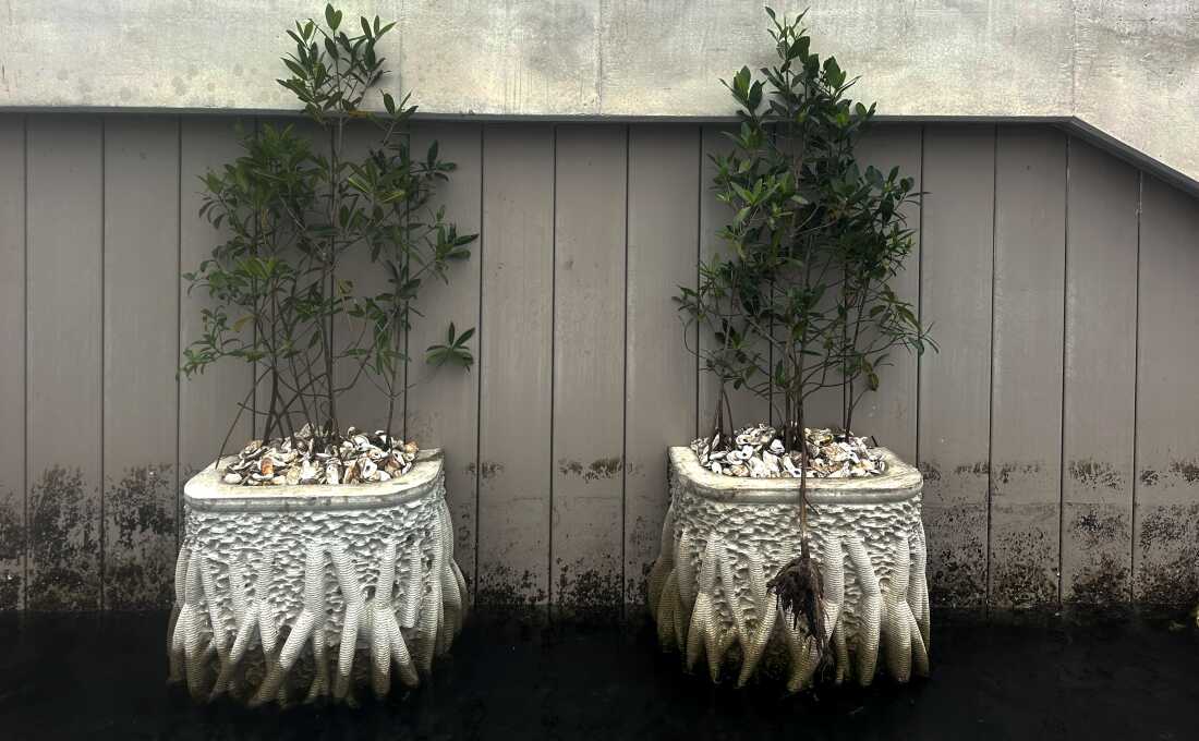 When it comes to improving the built environment, Keith Van de Riet says, "We have to look at these hybrid models." Incorporating parts of nature — like mangrove trees — into infrastructure.